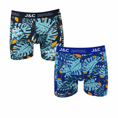 2-pack Heren Boxershorts H251 J&C katoen geprint